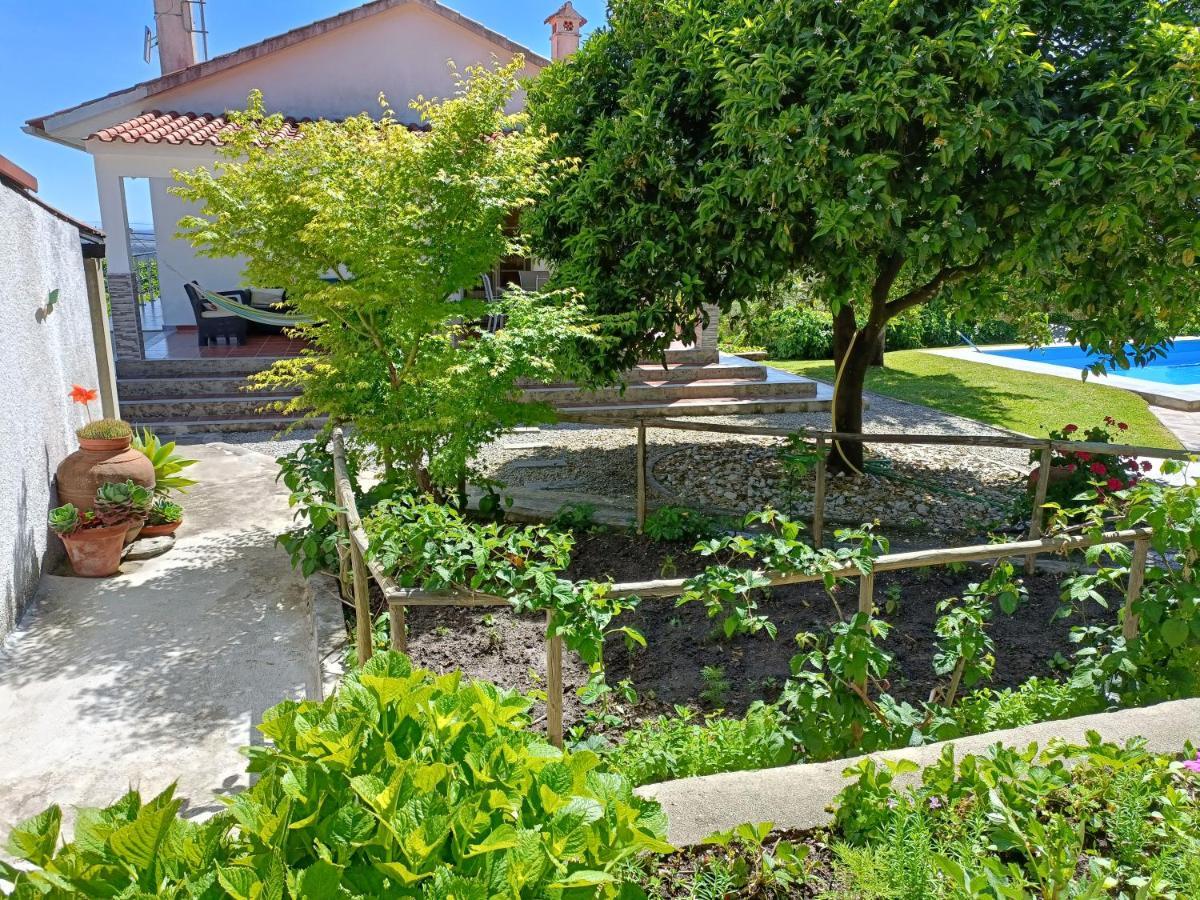 Casa Da Gardunha Βίλα Corticada  Εξωτερικό φωτογραφία