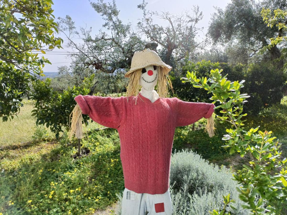 Casa Da Gardunha Βίλα Corticada  Εξωτερικό φωτογραφία
