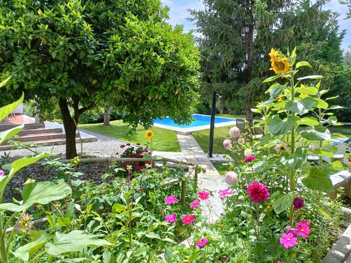Casa Da Gardunha Βίλα Corticada  Εξωτερικό φωτογραφία