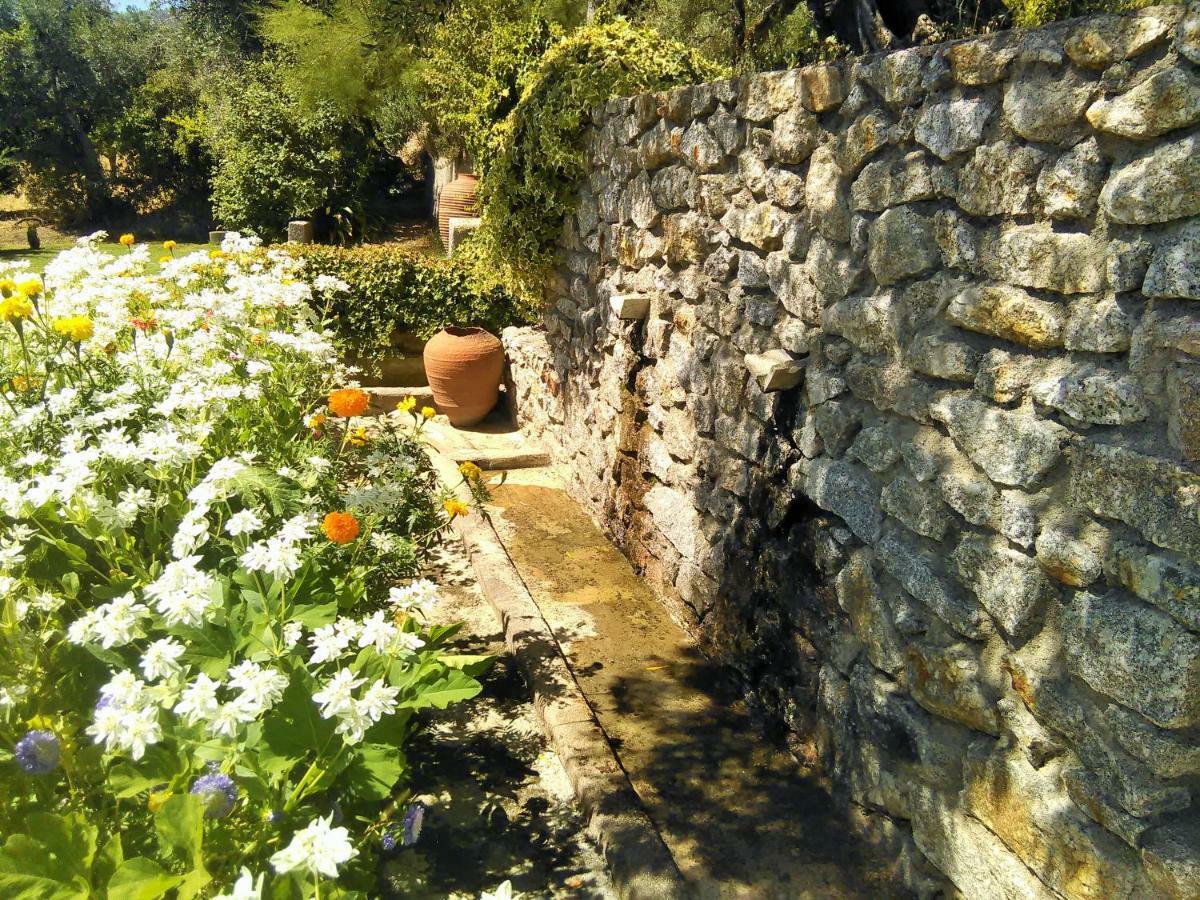 Casa Da Gardunha Βίλα Corticada  Εξωτερικό φωτογραφία